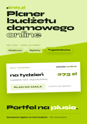 planer budżetu domowego