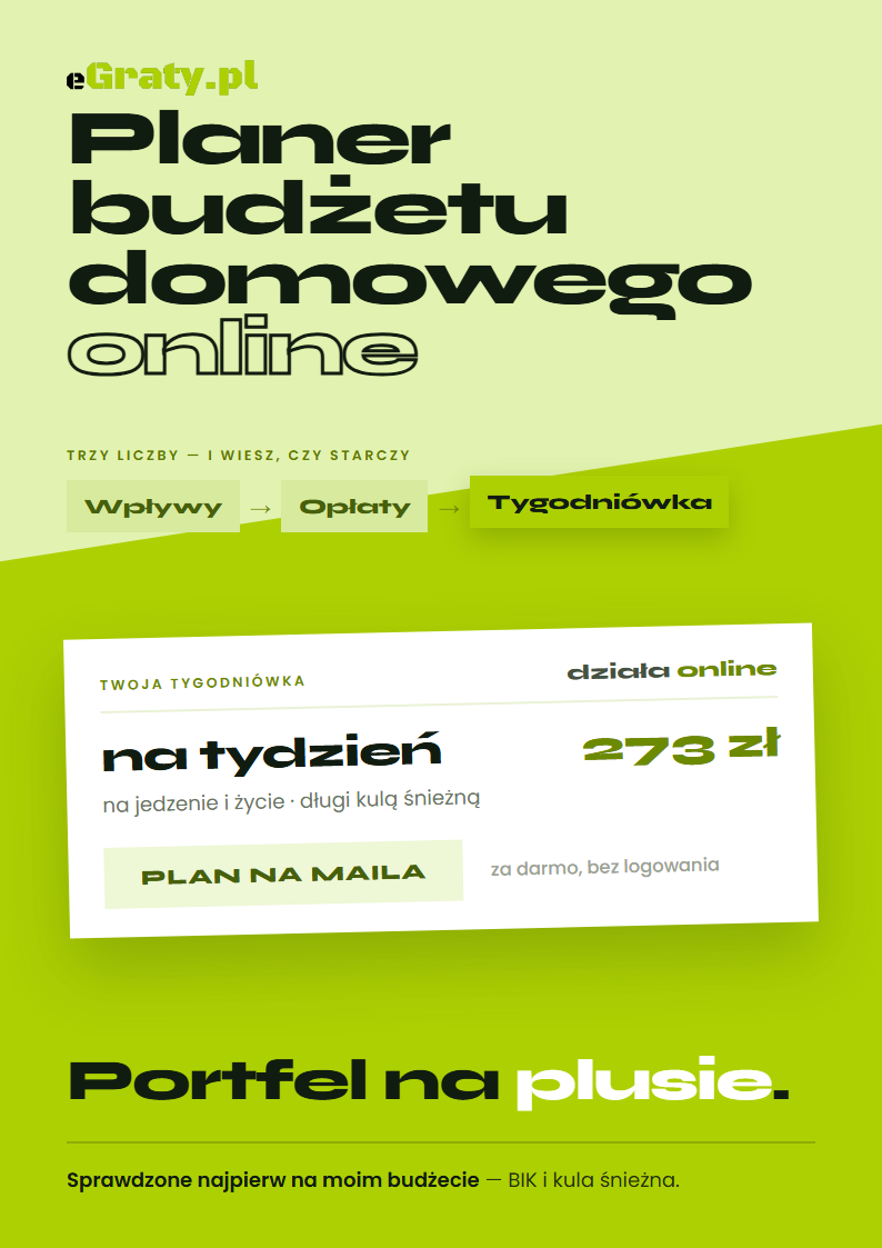 planer budżetu domowego