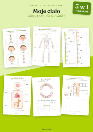 karty pracy montessori