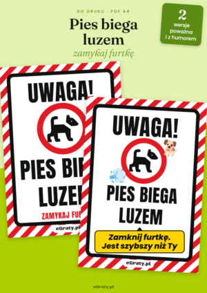 tabliczka pies biega luzem